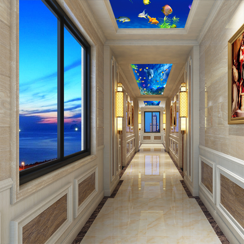 梦幻海底艺术玻璃吊顶亚克力透光有机UV简约客厅玄关走廊天花板