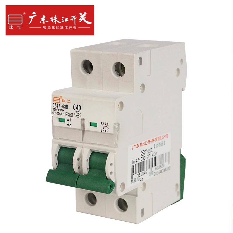 广东珠江开关 小型断路器家用C型空气开关 两极DZ47 2P 20/32/63A