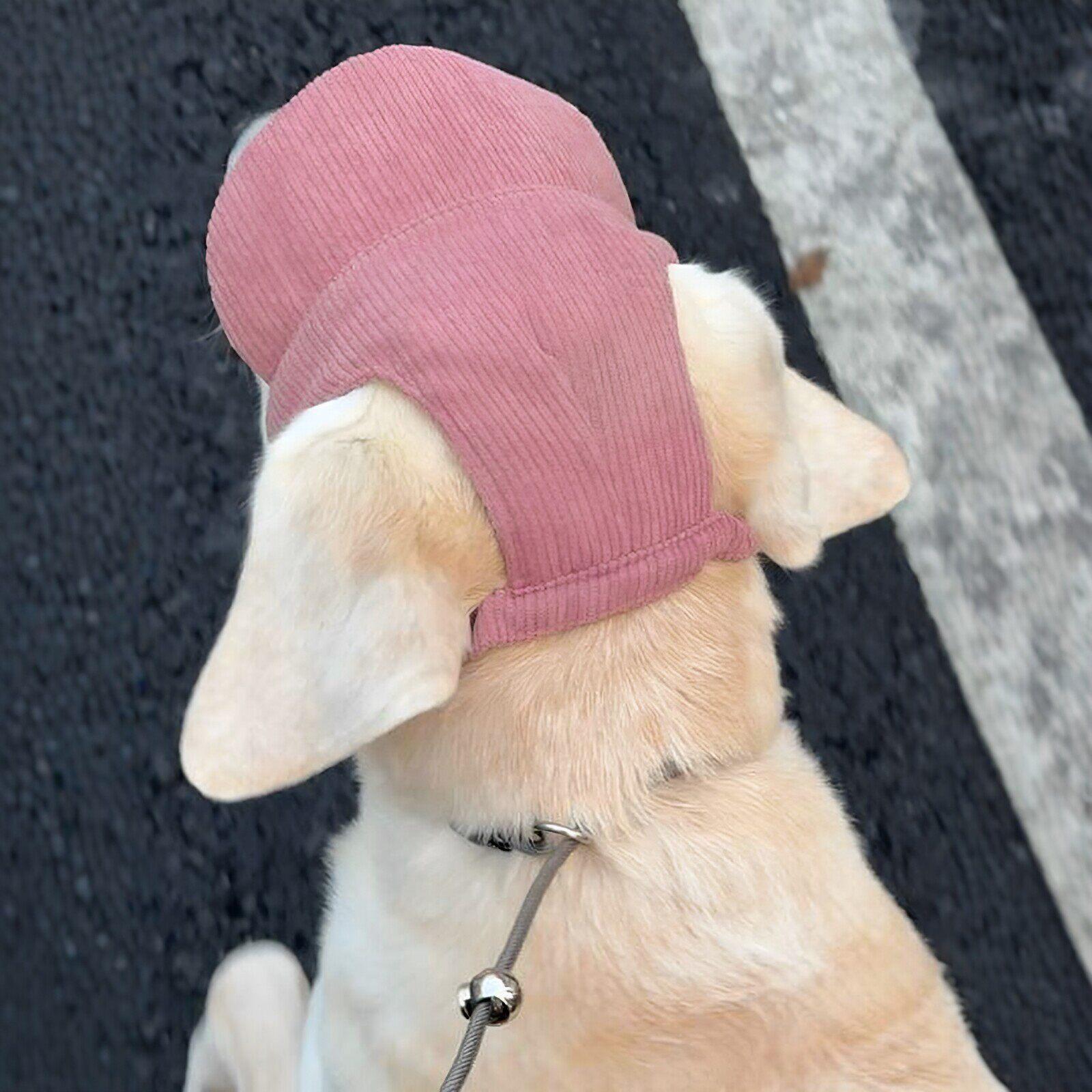 【天蓬元帅】拉布拉多金毛狗狗防晒帽宠物大型犬漏耳朵夏季鸭舌帽