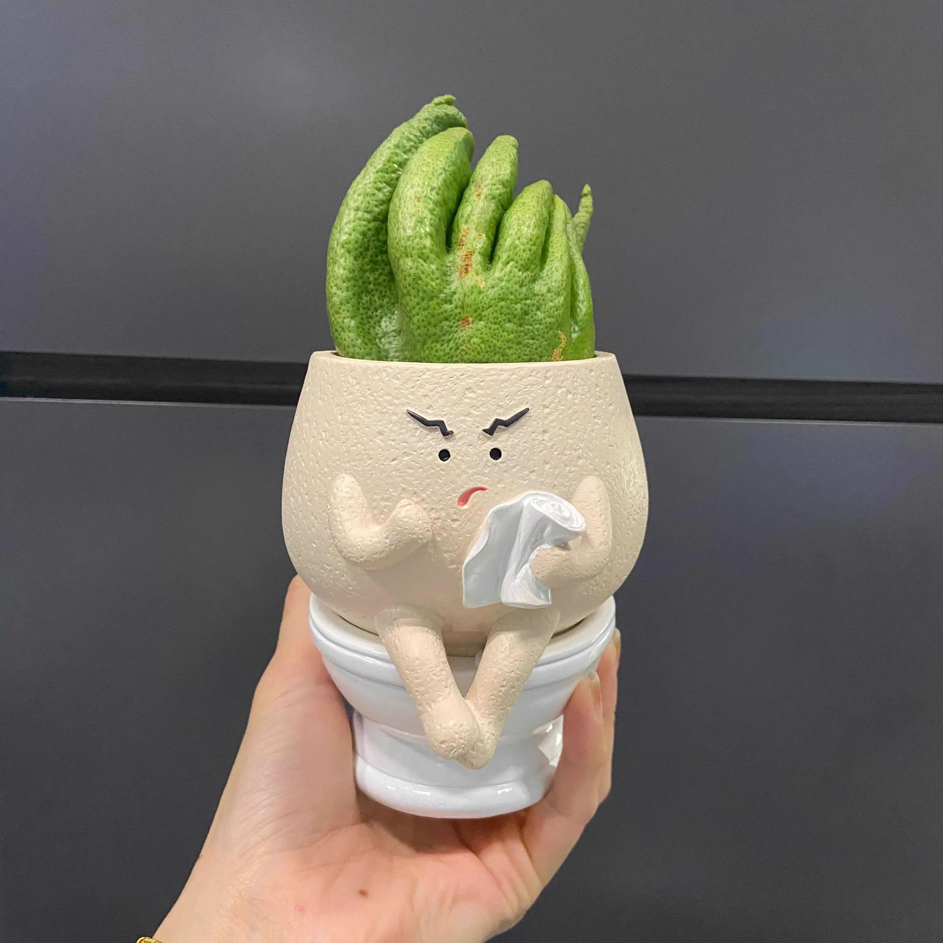 【厕所搭子】佛手柑托盘高颜值摆件客厅轻奢高档花瓶装饰多肉盆栽