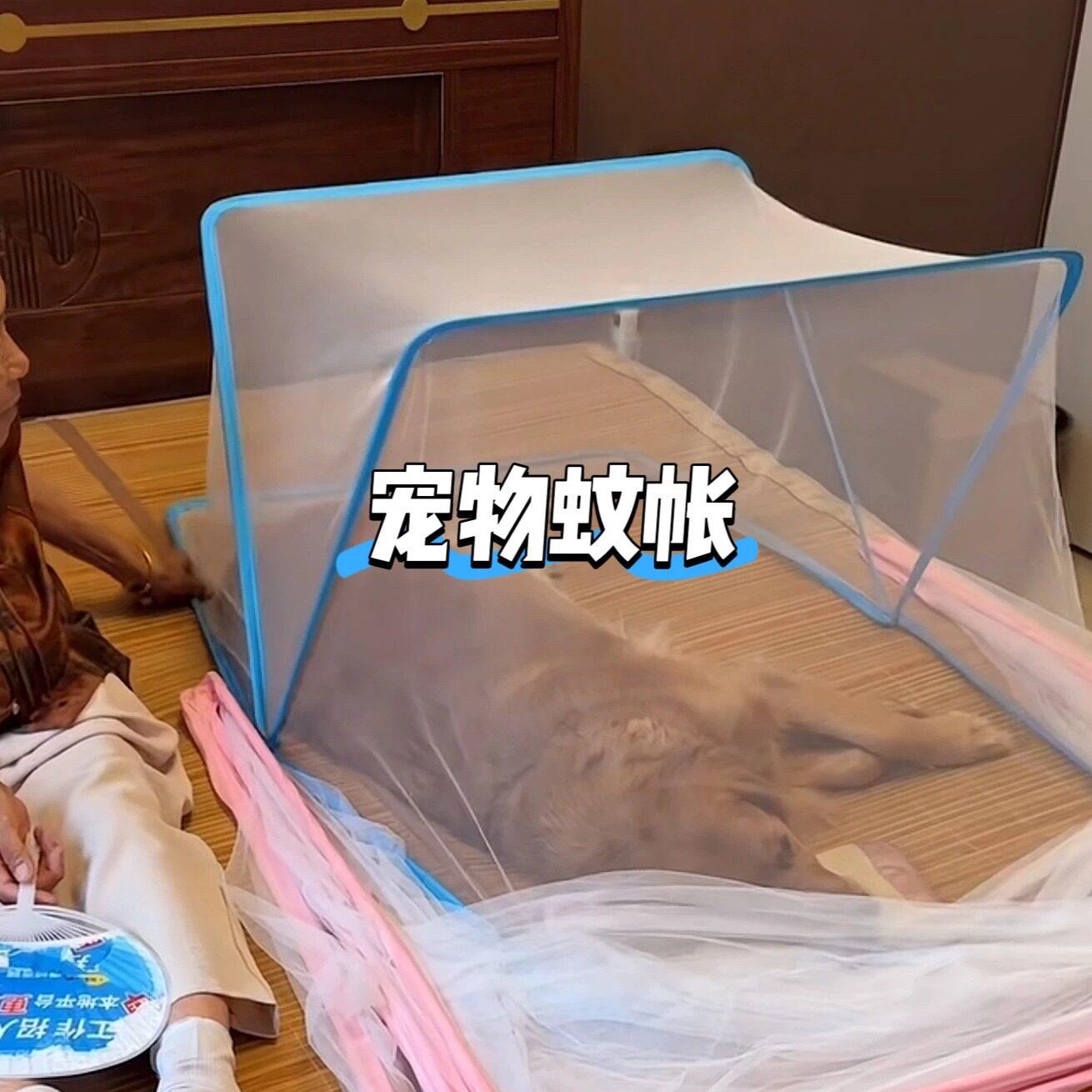 宠物蚊帐全罩式防猫宠物专用午睡小帐篷家用翻盖免安装折叠蚊帐.