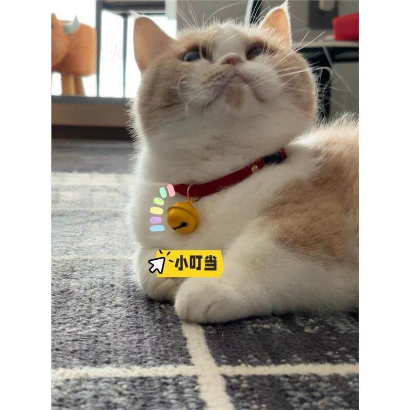 可爱猫咪小配饰项圈铃铛小叮当宠物高颜值幼猫装饰项链狗狗防走丢