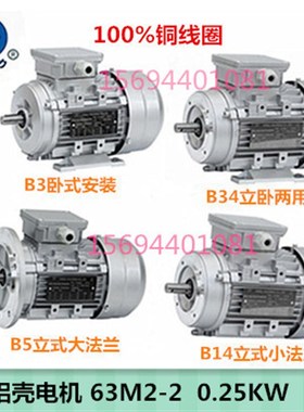 2极0.25KW方力铝壳电机YSYE2YE3FL-63M2-2三相异步电动机国标250W