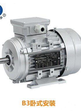 4极3KW方力YSYE2YE3/FL-100L2-4铝壳三相异步电动机3000W国标全铜