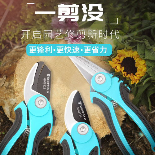 剪枝果树修枝剪刀园艺修剪树枝园林省力修花枝剪家用工具剪子神器