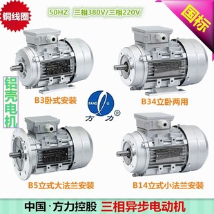 FANGLI方力鋁殼電機(jī)2極6極銅線圈YS YE3三相異步電動(dòng)機(jī)380V馬達(dá)