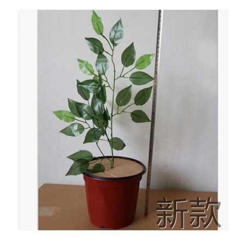 新选小荷风采亲亲我的小树演出服大树舞服表演蹈装儿童Y树叶子连