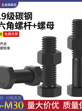 12.9级外六角螺丝螺母套装高强度螺栓大全组合M5M6M8M10M12M14M30