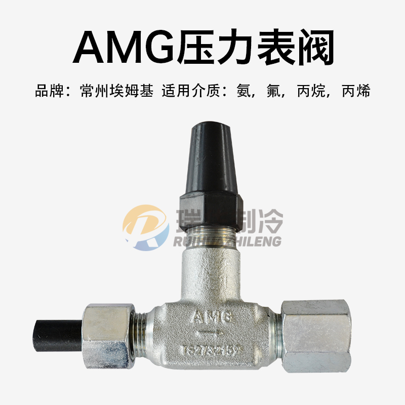 AMG埃姆基RVY6-10直通直角压力表阀门氟丙烷氨用制冷表阀RVT6-10