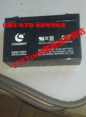 免邮CONSENT GS6V10AH (6M10LC/20Hr)玩具车 电子称 地磅用电池