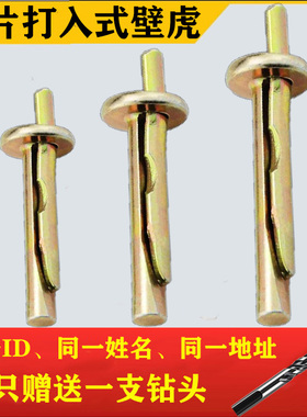 快速壁虎蓬胀钉 插片壁虎 锤击蓬胀 打入式膨胀螺丝m6敲击钉国标