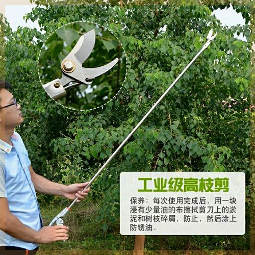不锈钢高空修枝剪刀长杆2米1.5米1米家用强力省力粗枝园艺SK5剪刀