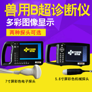 养殖场设备 彩色B超猪用 兽用B超 猪用B超机测孕仪母猪怀孕便携式