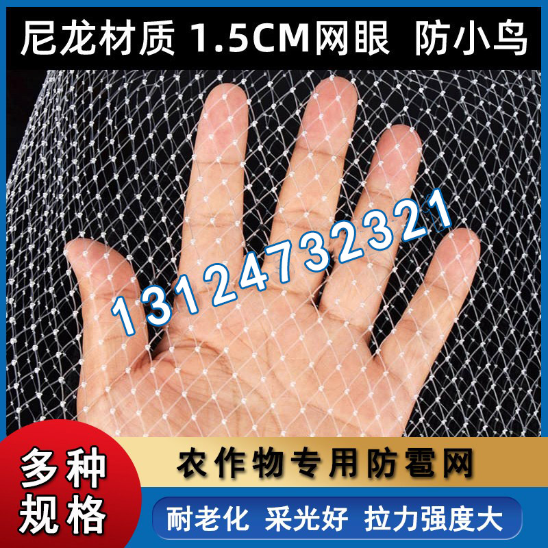 尼龙网养殖防护隔离农用防鸟网防雹网天网果树果园用的大棚防鸟