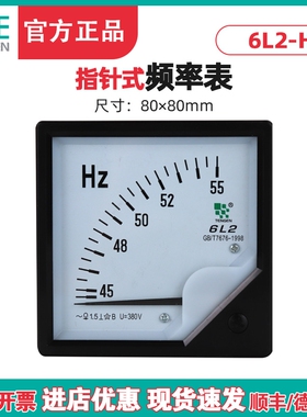 TENGEN天正电气 6L2-H频率表 6L2-HZ赫兹表 45-55HZ仪表板表 380V