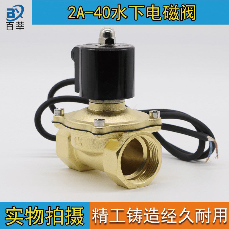 2A-40水下专用电磁阀 水阀 跑泉 喷泉用阀门1.5寸防水AC220V