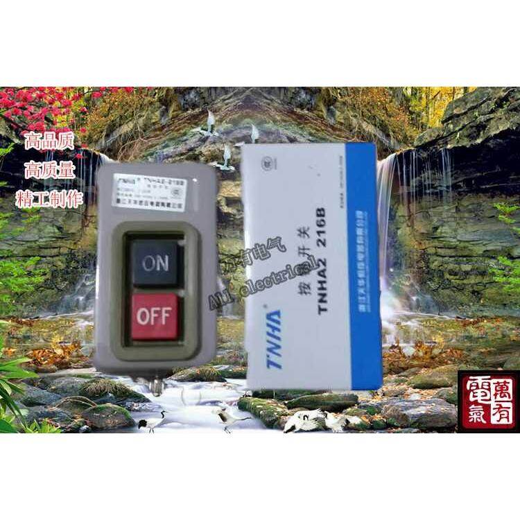 浙江天华 动力用压扣开关按钮押扣开关(BS216B) TNHA2-216B三相