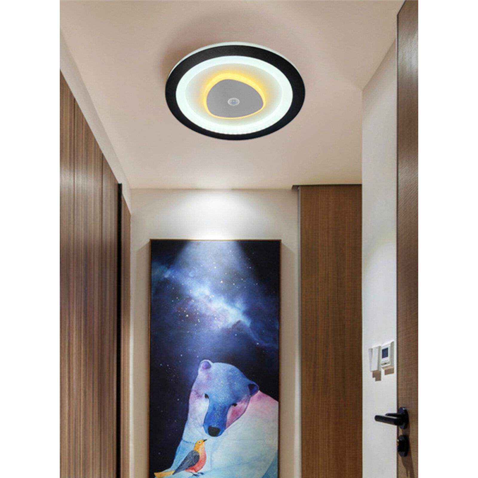 Led人体传感器吸顶灯过道壁灯入口门廊灯衣帽间斯堪的纳维亚圆形