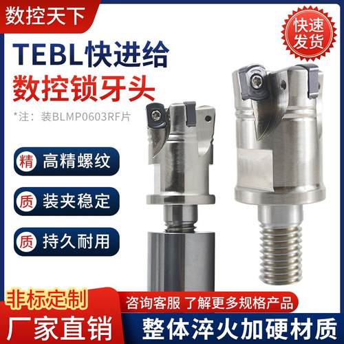 TEBL06快进给锁牙头高效开粗硬加工BLMP0603特固克双面四角铣刀片