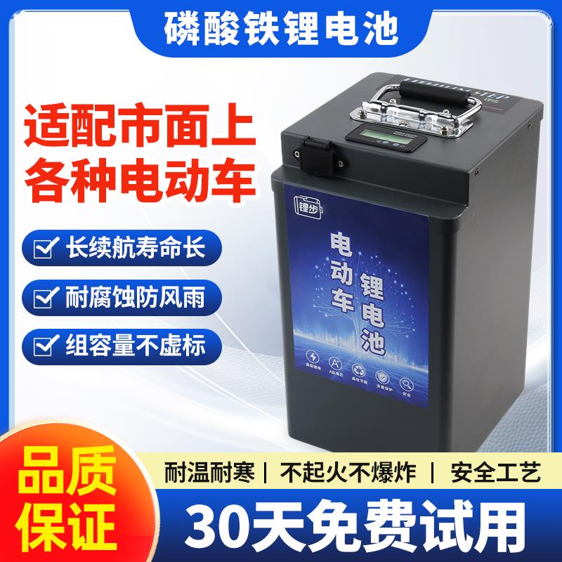 锂步电动车磷酸铁锂电池48v60v72v外卖专用 二三四轮车大单体储能