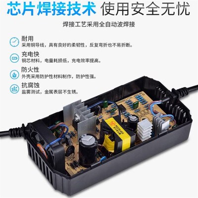 东升电动车车充电器轮车自动断电智能