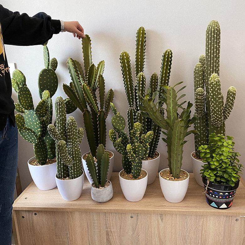 仿真多肉仙人掌盆栽盆景仙人棒热带植物布景装饰假花绿植摆件布景