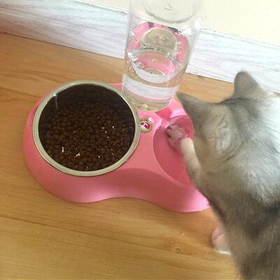 猫粮保存碗自动喂料器双碗饮水碗一体化食物碗猫粮碗