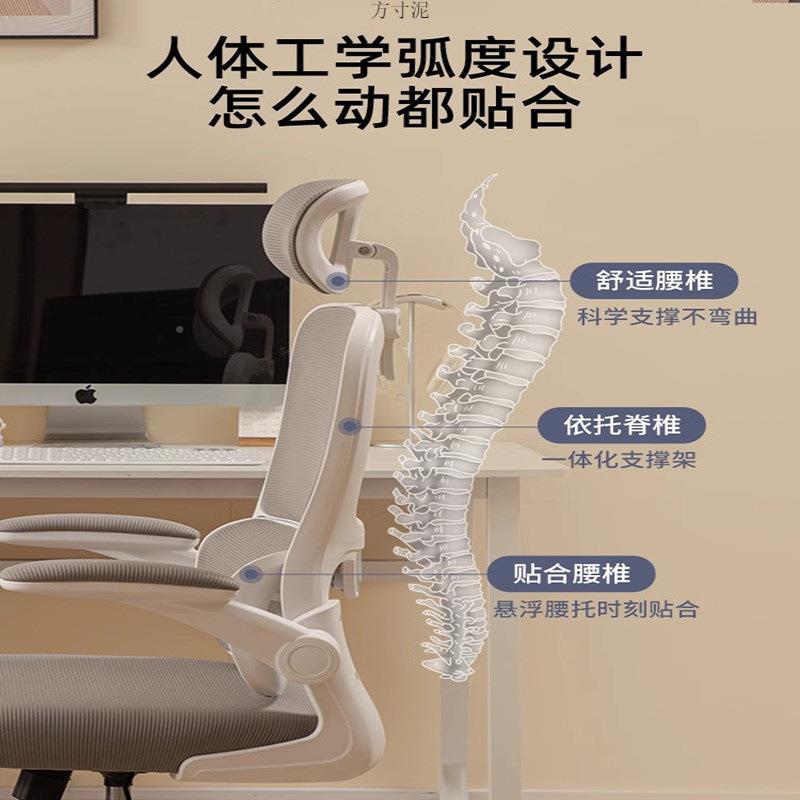 (活动价）人体工学椅办护腰电椅子电竞椅学生公书桌用学习椅久坐