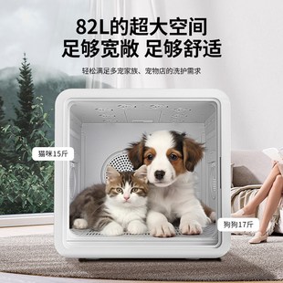 奥喵宠物烘干箱猫咪自动吹干机家用洗澡吹毛神器柯基狗狗吹风吹水