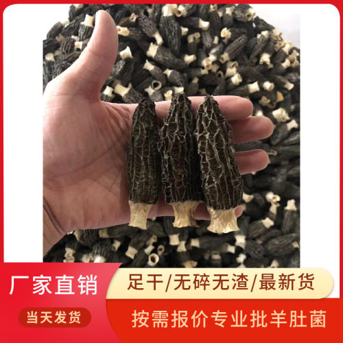 羊肚菌干货厂家批发整箱5-8剪柄黑厚肉大个食用菌煲汤便宜代发