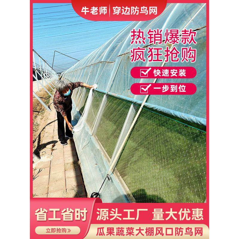 大棚防鸟网草莓尼龙网果树防鸟用网防乌网果园天网防护网纱防鸟罩,鲜花速递/花卉仿真/绿植园艺,其它园艺用品,淘宝优惠券,粉丝福利购,淘宝优惠卷