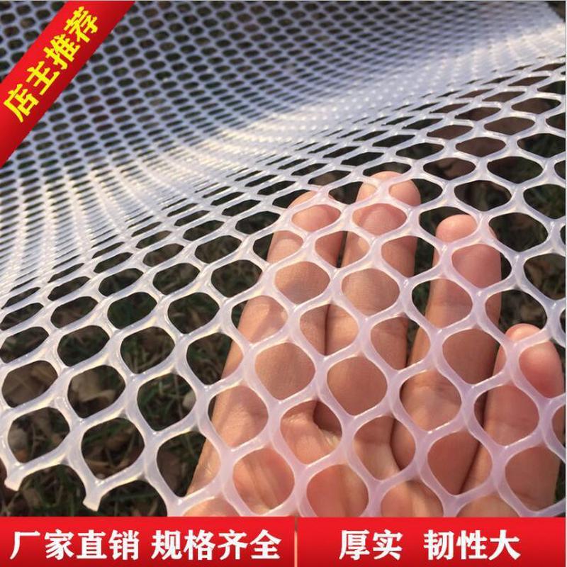 塑料平网家禽养殖网 聚乙烯塑料养鸡网 塑料网片塑料养殖网 养鸡