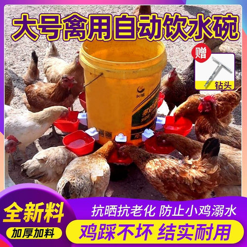 鸡用自动饮水器鸭鹅鸽子鹌鹑鹦鹉喂水桶雏鸡饮水碗全自动喂鸡