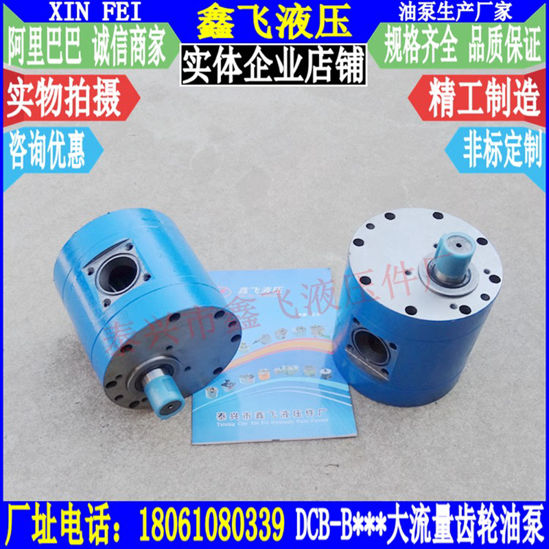 XTCB-B160 XTCB-B200 XTCB-B250 XTCB-B300大流量斜齿轮油泵 液压