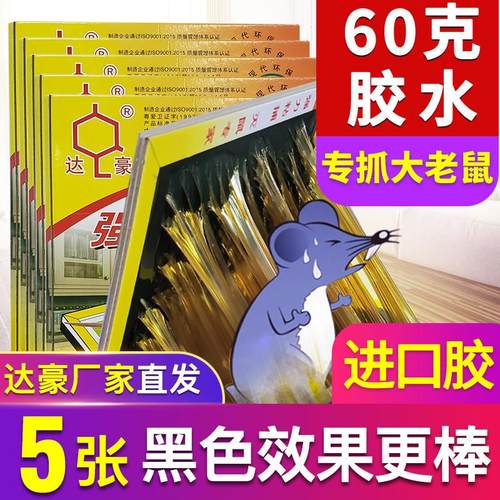 达豪强力粘鼠板灭鼠大老鼠贴粘老鼠胶抓捕鼠器大师傅5张60克胶水