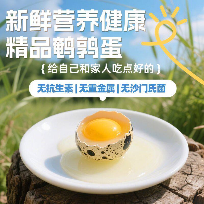 新鲜不含抗生素无激素药物添加鹌鹑蛋高蛋白营养生蛋当日现发包邮