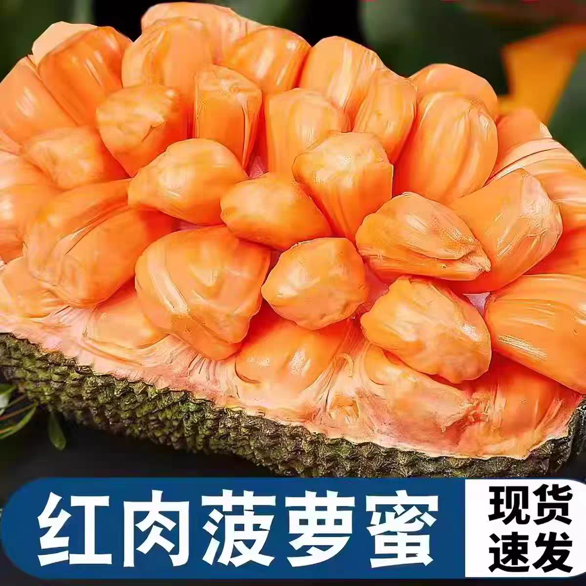 海南红肉菠萝蜜17斤应季新鲜水果一整个树上熟红心波罗蜜整箱