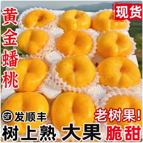 新鲜水果黄金油蟠桃应季奶油黄蟠桃山东彩虹蟠桃孕妇超甜大果