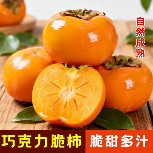 现摘巧克力脆柿子冰糖心青黄硬柿子特大果生吃甜柿子新鲜水果当季