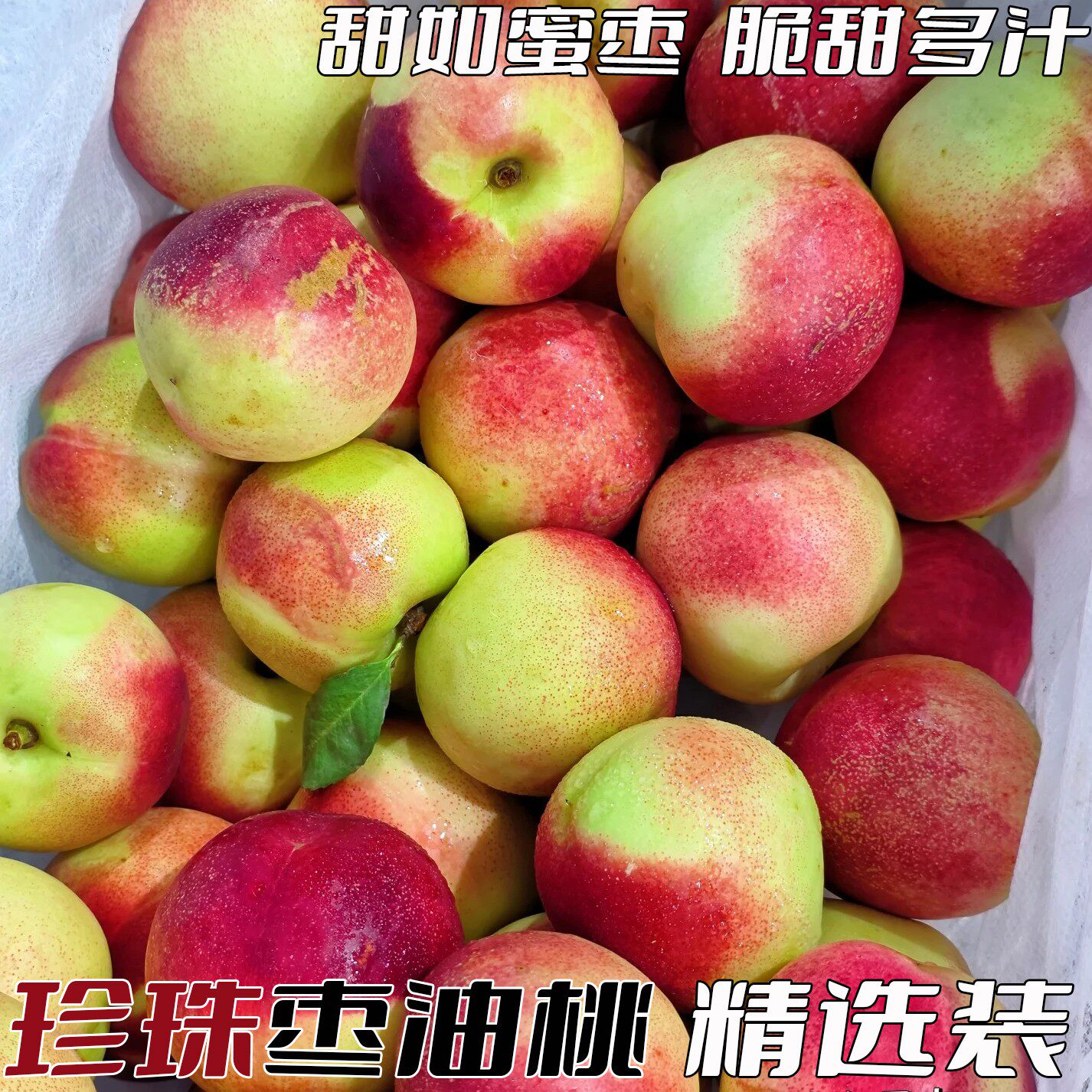 26年头茬现摘珍珠枣油桃白肉油桃脆甜应季孕妇新鲜水果精品小桃子 - 实物图