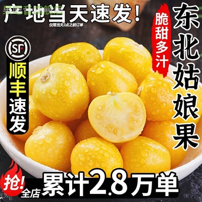 顺丰姑娘果5斤特产大果菇娘果水果新 鲜整箱当季灯笼果黄