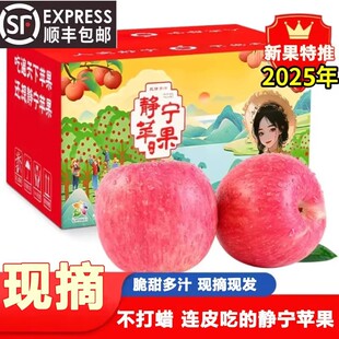 正宗甘肃静宁红富士苹果 新鲜脆甜冰糖心孕妇水果礼盒装顺丰包邮