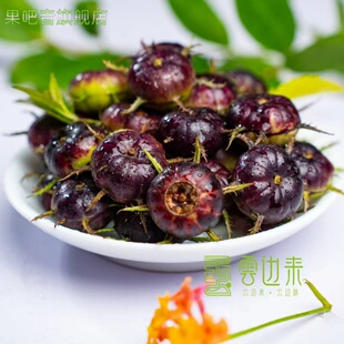 云南特色红果参马关红果参新鲜早熟果小红果新奇果果原产地