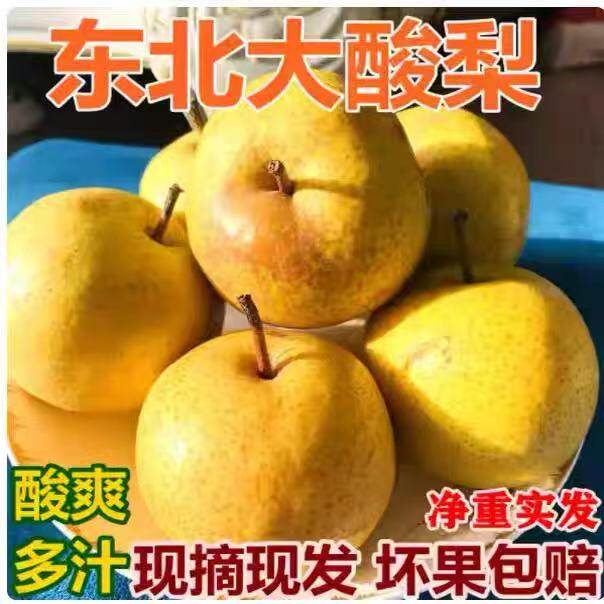 东北酸梨安梨细皮老酸梨可做酸梨干酸梨汁烂酸梨老味道特产小酸梨