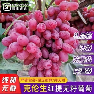 应季克伦生无籽红提整箱包邮现摘5斤脆甜鲜葡萄孕妇水果凉山礼盒