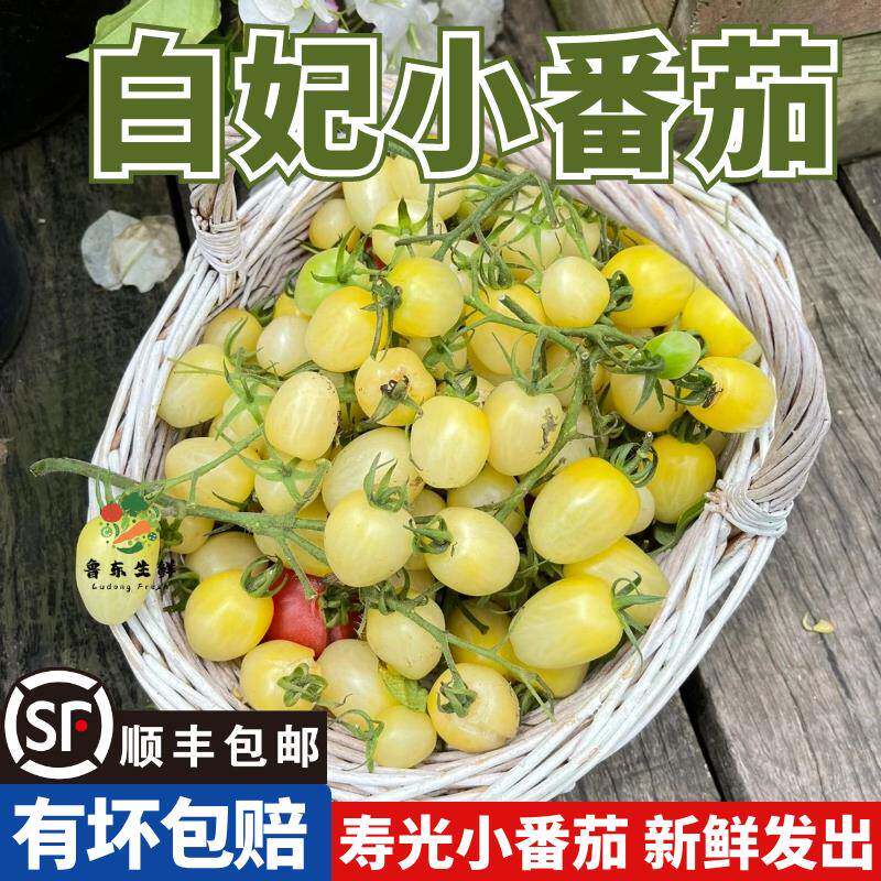 顺丰】白妃奶油小番茄新鲜现摘小柿子酸甜可口生吃即食白妃圣女果