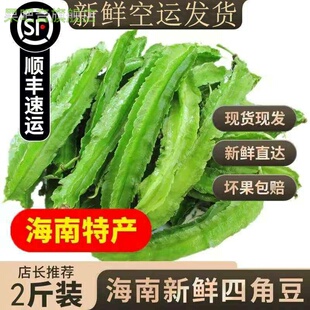 海南三亚新鲜四角豆现摘蔬菜四棱豆特产龙豆豆角顺丰空运包邮