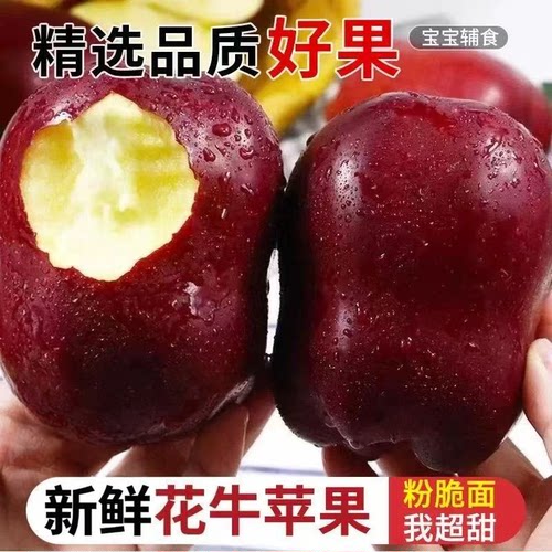 正宗花牛苹果水果9斤新鲜整箱孕妇应当季红蛇粉面产地甘肃天水