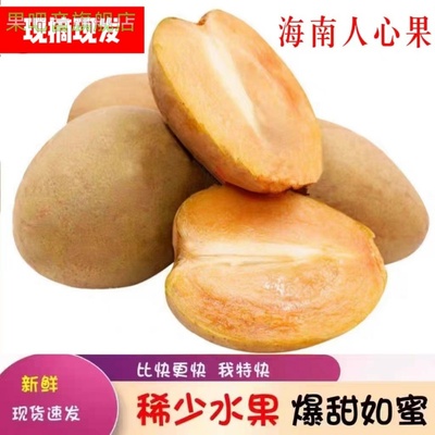 海南人心果新鲜当季整箱孕妇香甜果现摘稀罕见养生人参果现货包邮