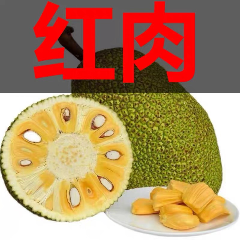 红肉菠萝蜜一整个越南干苞红心木菠萝泰国新鲜水果正宗清仓包邮